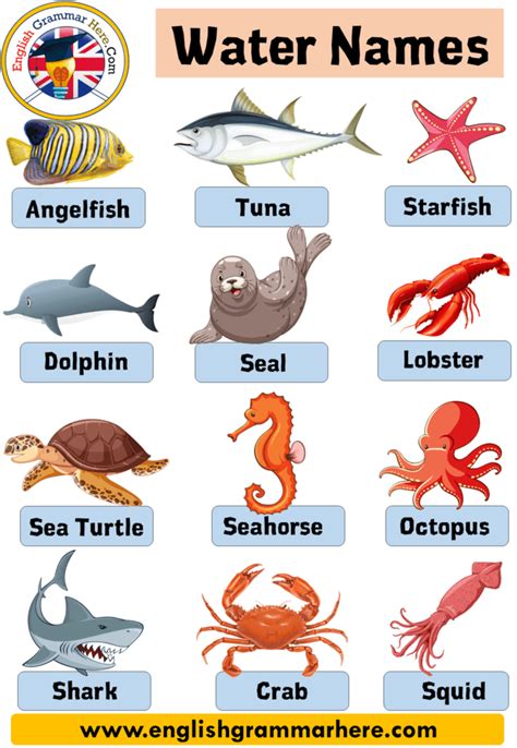 50 water animals name with pictures Water Animals Name In this lesson ...