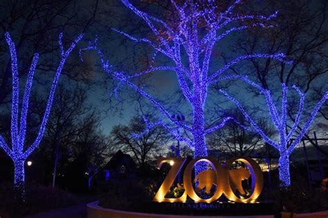 Philadelphia Zoo lights up blue to thank frontline workers - WHYY