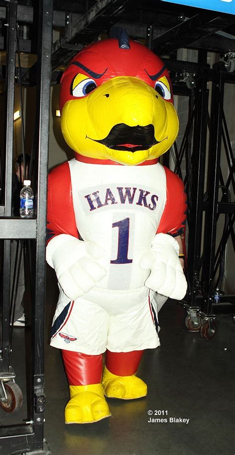 the mascot for the university of iowa football team is dressed in red ...