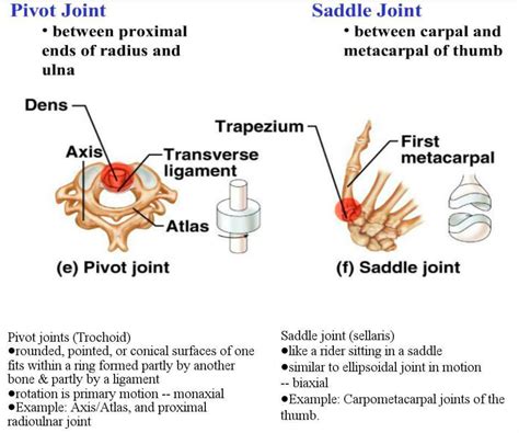 Pivot Joint Examples