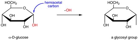 Glycosyl Group - Chemistry LibreTexts