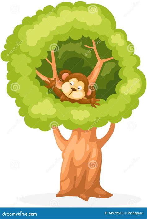 Monkey On The Tree Animal Vector Illustration Transparent Background | CartoonDealer.com #221836761