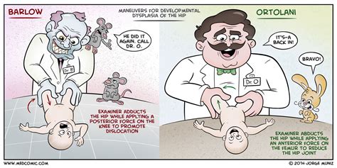 Barlow vs. Ortolani | Medcomic