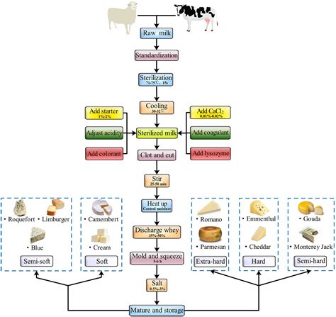 Frontiers | A Review on the General Cheese Processing Technology, Flavor Biochemical Pathways ...