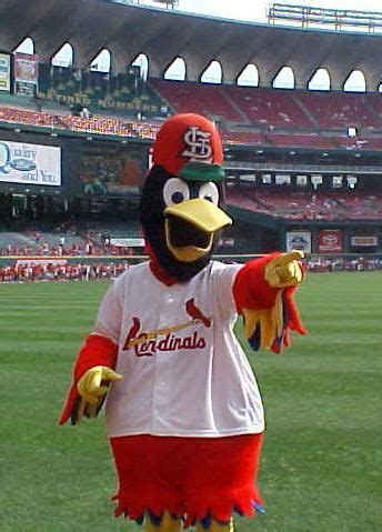 Fredbird in the Old Busch Stadium | St louis cardinals baseball, Fred bird, St louis cardinals