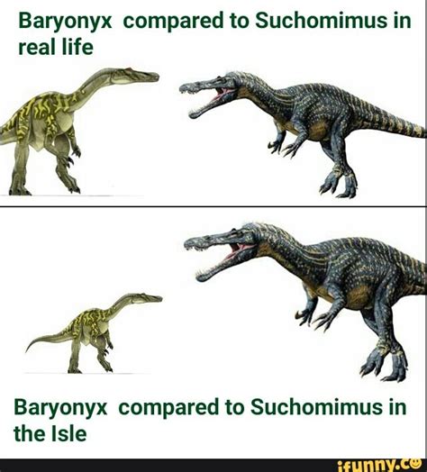 Baryonyx compared to Suchomimus in real life Baryonyx compared to ...