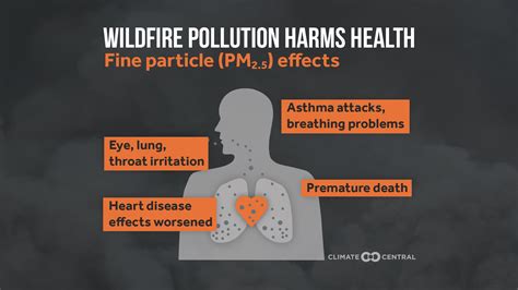 How to Protect Yourself from Wildfire Smoke - InvestigateWest