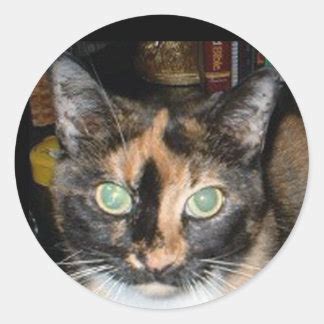 Calico Cat Stickers | Zazzle