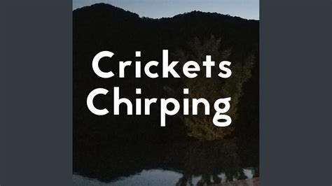 Sound Of Crickets Chirping At Night - YouTube