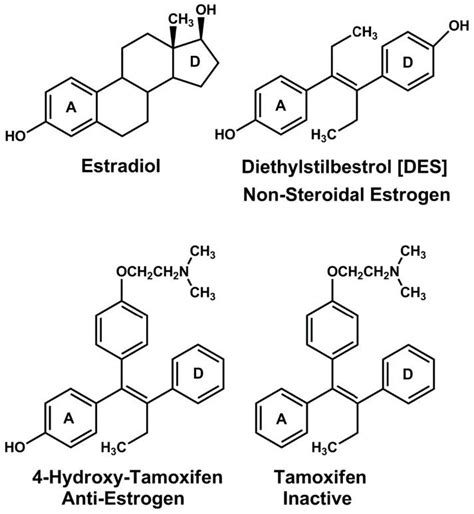 Synthetic estrogens. The role of an aromatic A ring with a C3-alcohol ...