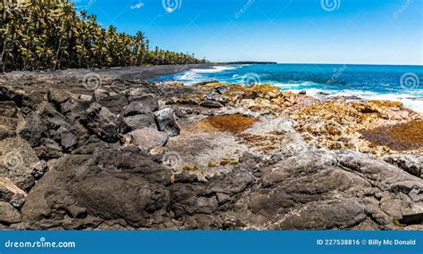 Palm Tree Lined Pohoiki Black Sand Beach Stock Photo - Image of landscape, islands: 227538816