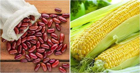 Best High Protein Vegetables That You Should Know - Daily Online News