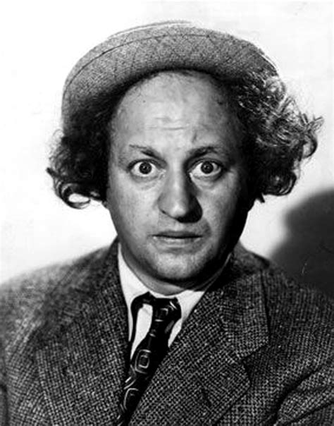 Larry Fine - Three Stooges Photo (23436865) - Fanpop