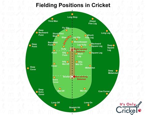 Cricket Fielding Positions Explained: A Simple Guide - Its Only Cricket