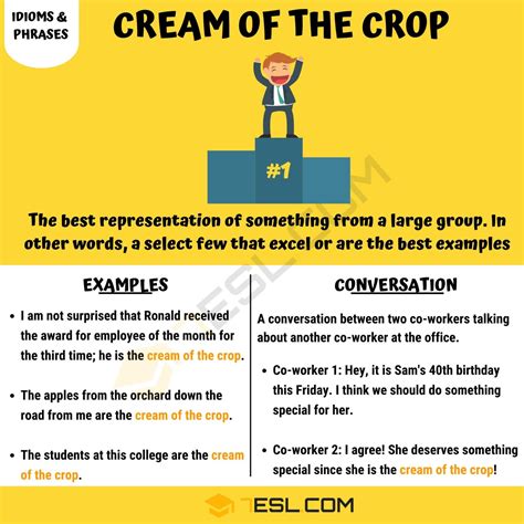 "Cream of the Crop" Meaning, Origin and Examples • 7ESL