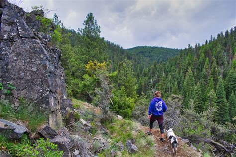 Rock Creek Trail Hike Image