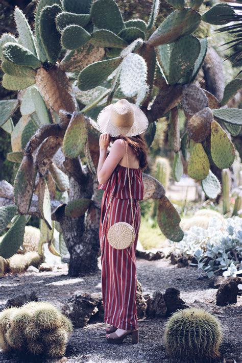 Hidden Palo Alto: Stanford University's Arizona Cactus Garden