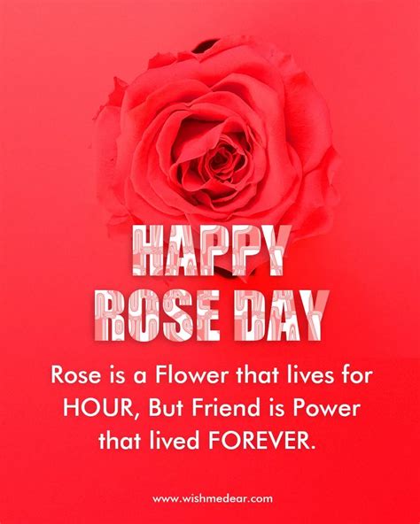 Rose day quotes, pic, video, wishes, images