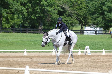 Good Grooming Goals: Get Your Horse Ready for a Rally or Horse Show