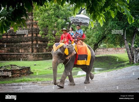 Elephant Ride, Historical park, Ayuthaya, Thailand Stock Photo - Alamy