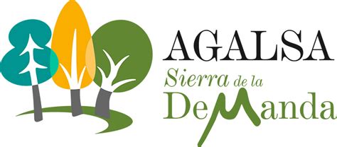 Organización interna - Agalsa