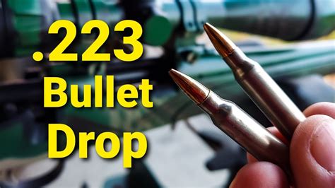 223 Bullet Drop Chart