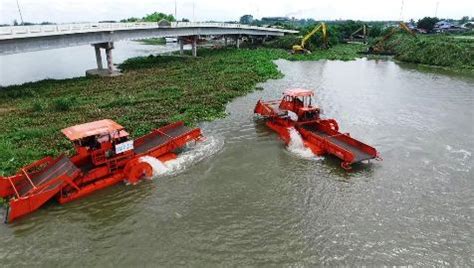 Water hyacinth removal efforts nationwide yielding results - Thailand News - Thailand News ...