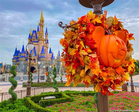 PICS! The Iconic Mickey Jack-O-Lanterns Are UP in Magic Kingdom at Disney World! | the disney ...