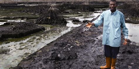 Niger Delta, the oil spill clean-up has started. It will take 30 years