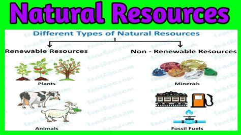 Natural Resources Natural Resources Activities Natural