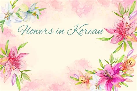 Flowers In Korean – Complete List Of Korean Flower Names