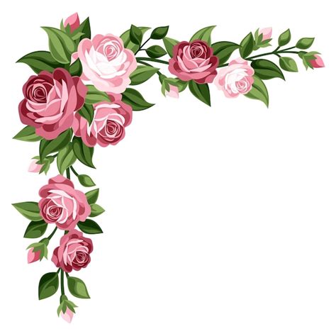 Premium Vector | Pink roses corner isolated on a white background ...