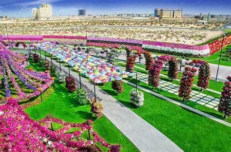 15 Photos Of The Wonderfully Bizarre Dubai Miracle Garden That Is Built ...