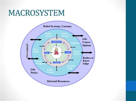 PPT - Urie Bronfenbrenner PowerPoint Presentation - ID:5643057