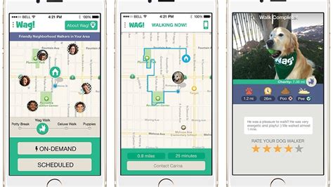 On-demand dog walking app launches in Seattle | Seattle Refined