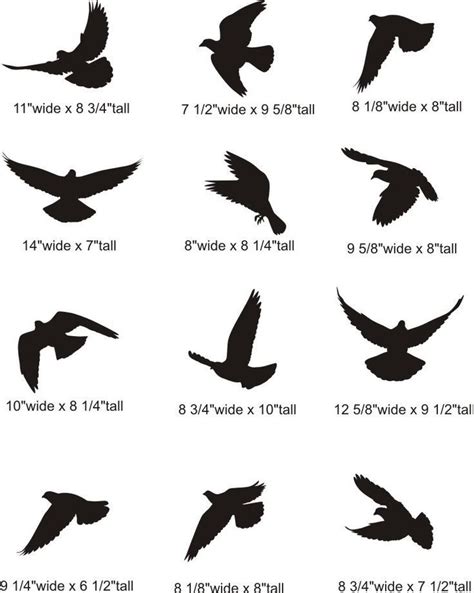 Bird tattoo men, Birds tattoo, Silhouette tattoos