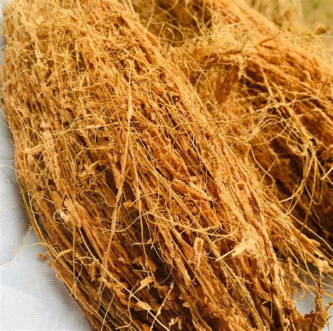 Pure Organic Coconut Husk Fiber Unprocessed for | Etsy