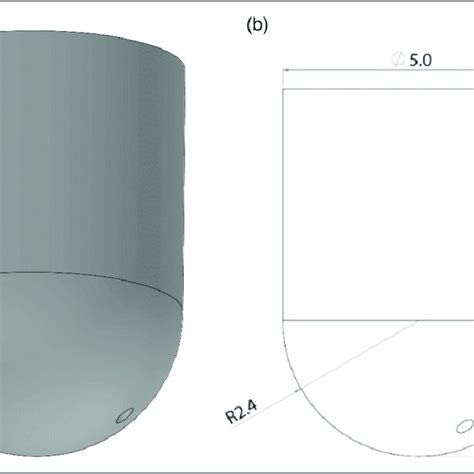 Lateral Protuberance (a) form (b) dimensions in cm. | Download Scientific Diagram