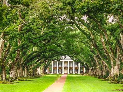 Oak Alley Plantation - Meditravel