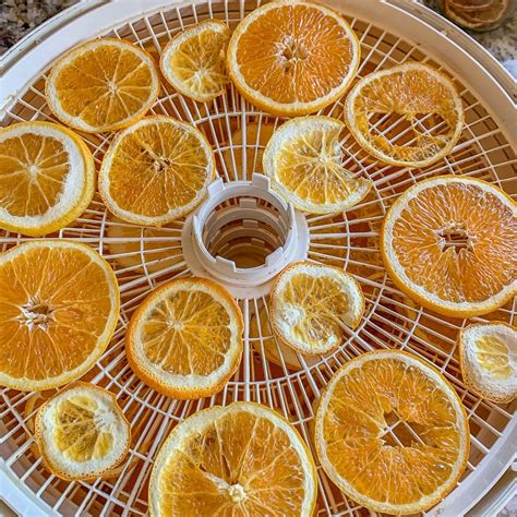 Dehydrated Oranges (dehydrator and oven directions) | Hilda's Kitchen Blog