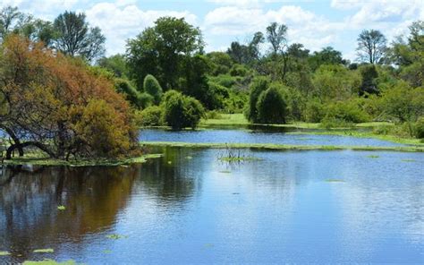 Gran Chaco | The Nature Conservancy