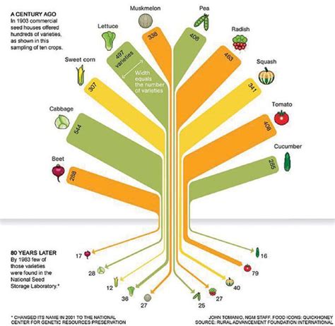 Information about "Crop_Diversity_Chart.png" on davis seed savers alliance - Davis - LocalWiki