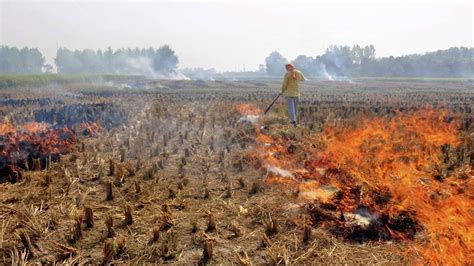 Delhi braces for toxic air as stubble burning begins in neighbouring ...