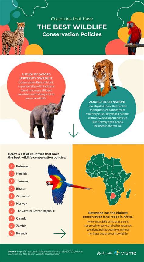 Best Wildlife Conservation Countries Infographic Template | Visme