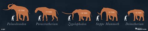 Elephantine undertaking: Digging up a giant mastodon | Fossils | Earth Touch News