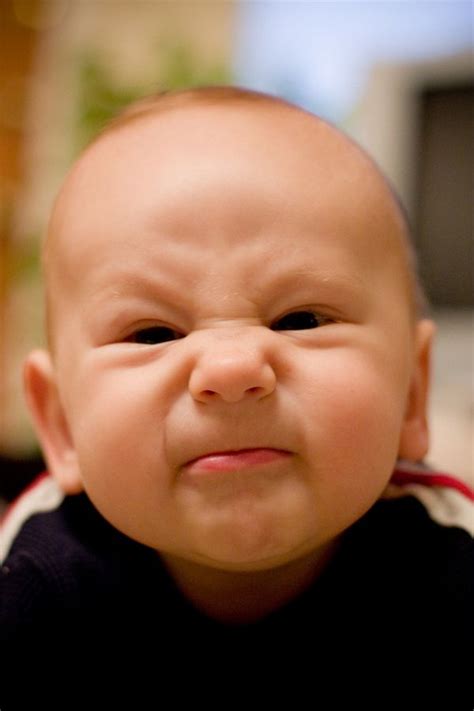 8 Amazing Things Your Baby's Face Can Tell You | Funny baby faces, Funny baby photography, Funny ...