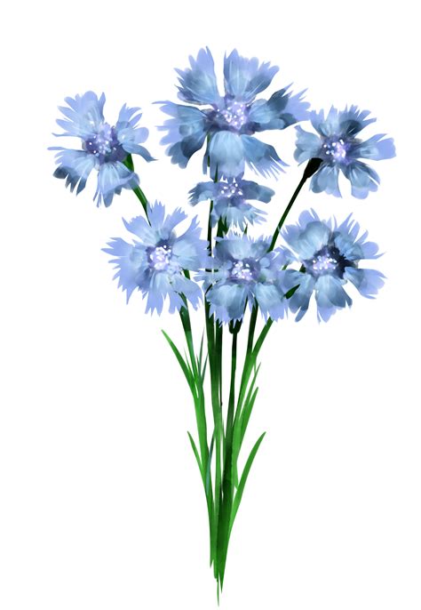 Wildblumen-Aquarell-Stil png 10286864 PNG