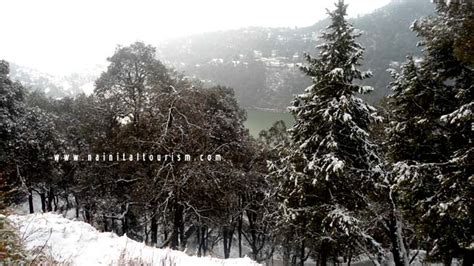 NAINITAL TOURISM :- SNOWFALL | SNOW FALL IN NAINITAL | NAINITAL SNOWFALL