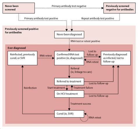 Simplified schematic of our HCV screening and treatment model Solid... | Download Scientific Diagram