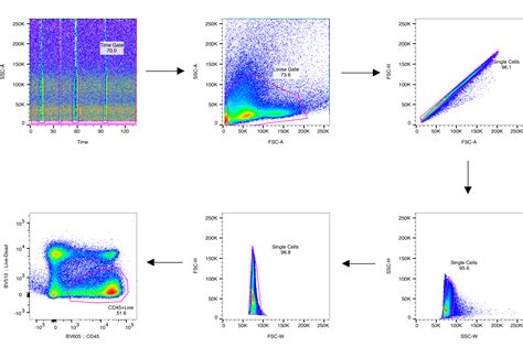 Beginner Gating Strategies to Start Analyzing Your Flow Cytometry Data ...